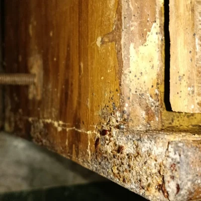 Sukhmani Pest Control work gallery image 5
