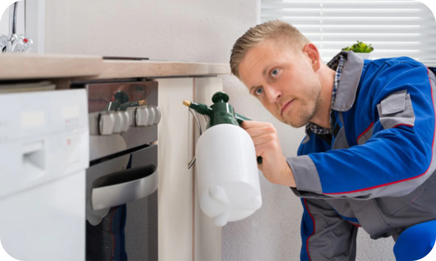 Technician treating a commercial kitchen