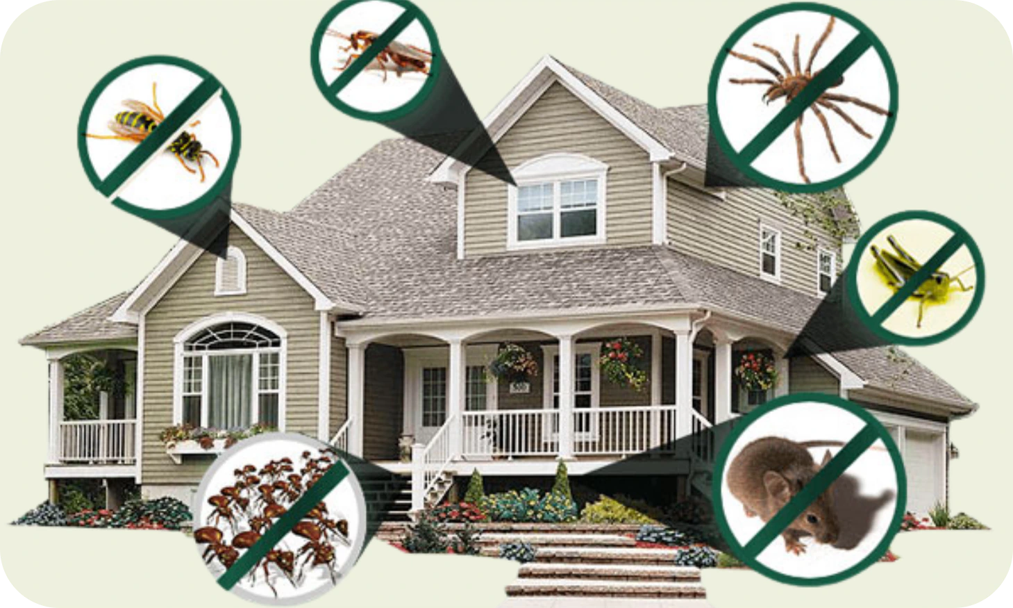 Residential home protected against pests