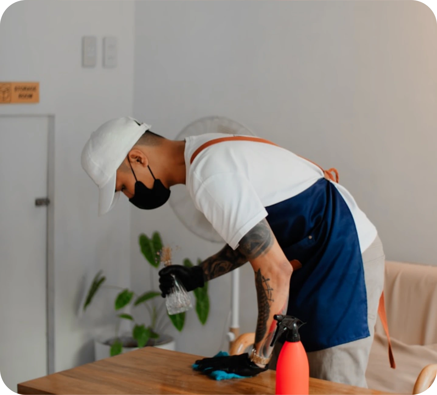 Technician treating indoor plants and surfaces