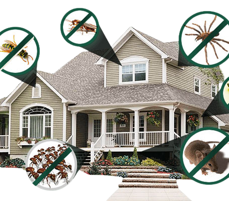 Residential pest control protection for a family home