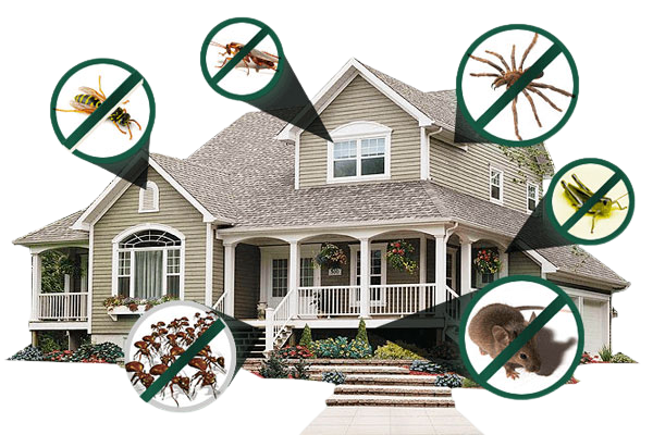 Residential home protected with pest control icons