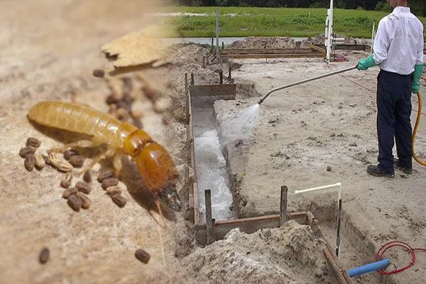 Outdoor anti-termite treatment in progress