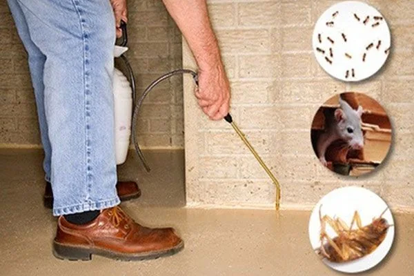 General pest treatment inside a home