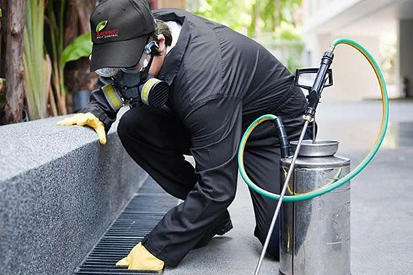 Preventive pest control treatment on a building exterior