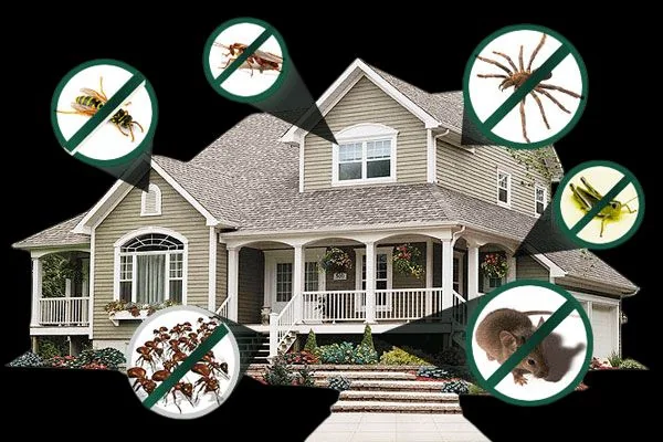 Residential pest control protection for a family home