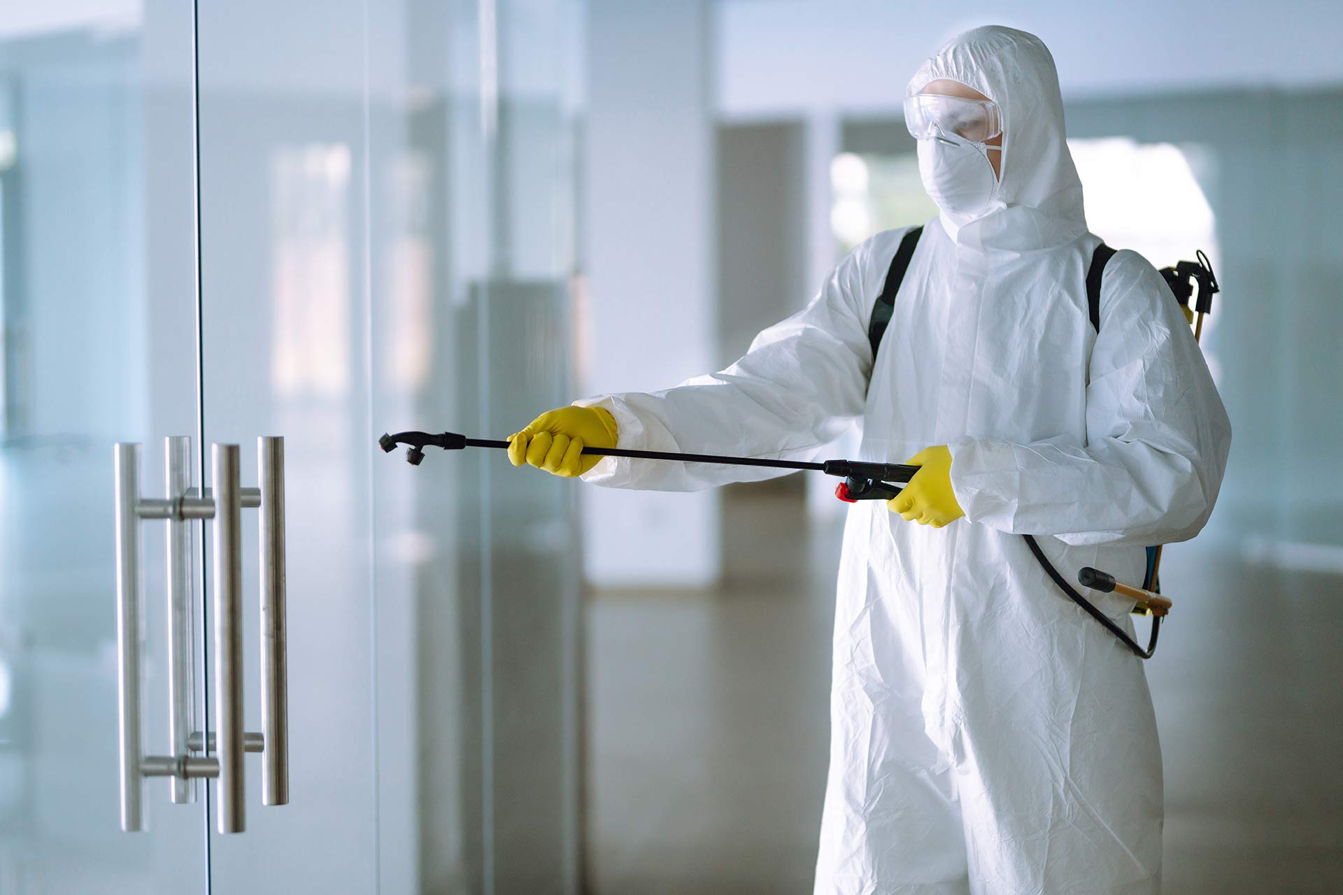 Can Termite Control Protect Your Property From Silent Damage?